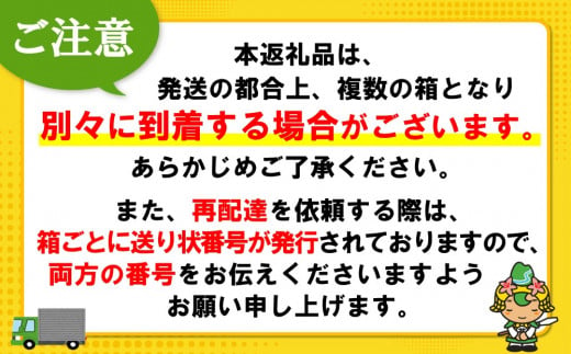 佐賀県基山町のふるさと納税 【2025年1月13日で掲載終了】綾鷹 2L(2ケース)計12本【コカコーラ お茶 旨み 渋み うまみ スッキリ 日本茶 国産 おいしい お手軽 お徳用 2Ｌ大家族 保存 常備品 ペットボトル 2ケース】Z3-C047071