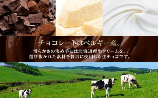 神奈川県平塚市のふるさと納税 生チョコ生みの親 小林正和監修 葩亭プロデュース TheRich 奇跡の生チョコ Mサイズ 20粒 なめらか 滑らか ベルギー産チョコレート 湘南ドルチェ みづほ野グループ【 平塚市 】