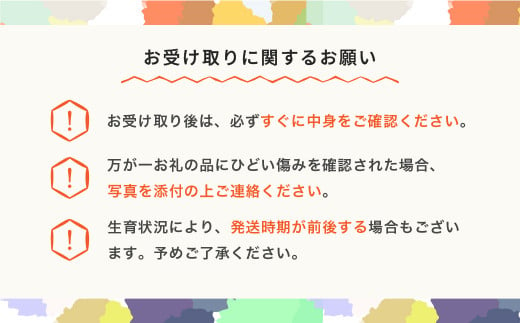 山形県村山市のふるさと納税 先行予約 さくらんぼ 佐藤錦 ◯秀 M玉以上 200g×4パック 計800g フードパック 2025年産 令和7年産 果物 果樹 フルーツ ja-snpmx8