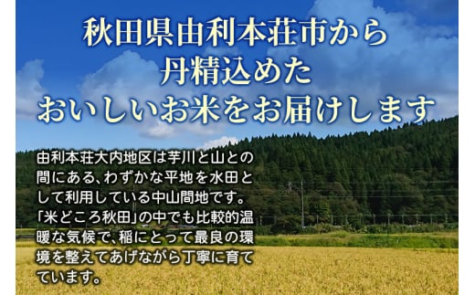 秋田県由利本荘市のふるさと納税 【白米】あきたこまち 令和6年産 秋田県産 五平農園のあきたこまち 5kg