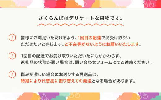 山形県村山市のふるさと納税 先行予約 さくらんぼ 佐藤錦 ◯秀 M玉以上 200g×4パック 計800g フードパック 2025年産 令和7年産 果物 果樹 フルーツ ja-snpmx8