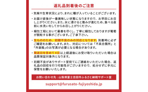 山梨県富士吉田市のふるさと納税 【2025年先行予約】【2回定期便】ジューシーで甘さ抜群 厳選シャインマスカット1kg×2回配送 ぶどう 果物 フルーツ 旬 山梨県 2025年 先行予約 山梨 富士吉田