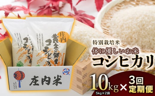 【令和6年産】特別栽培米 体に優しいお米・こしひかり10kg（5kg×2）【3回定期便】 山形県庄内産　鶴岡米穀商業協同組合 969747 - 山形県鶴岡市