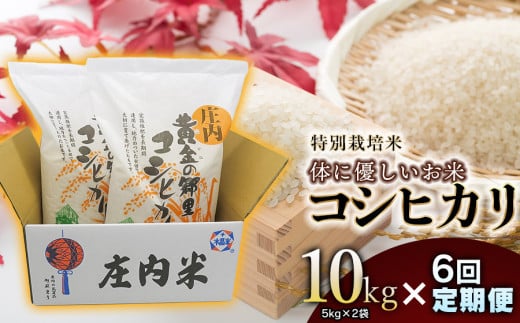 【令和6年産】特別栽培米 体に優しいお米・こしひかり10kg（5kg×2）【6回定期便】 山形県庄内産　鶴岡米穀商業協同組合