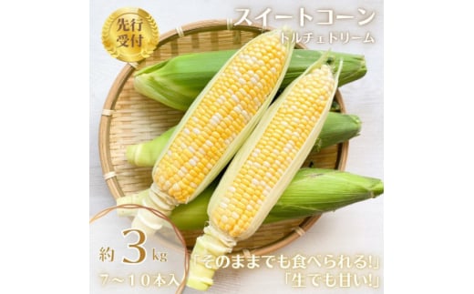 ＜先行受付2025年＞とうもろこし　ドルチェドリーム　約3.0kg　数量限定【1451276】 1099690 - 宮城県村田町