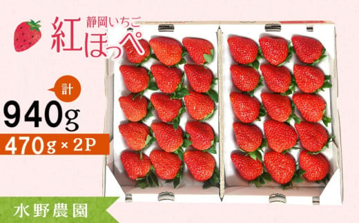 6285 掛川産いちご 紅ほっぺ 470g×2P 計940g (12〜15粒入×2P) 令和7年1月10日頃から順次発送 ①1月、②2月の中から時期をお選び下さい 水野農園 (ミズノ農園)