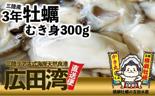 横綱牡蠣！吉田水産のむき身牡蠣 Mサイズ 300g おためし 【 むき身 牡蠣 かき 大粒 小分け 加熱用 冷蔵 三陸 リアス海岸 広田湾 3年牡蠣 】RT2648