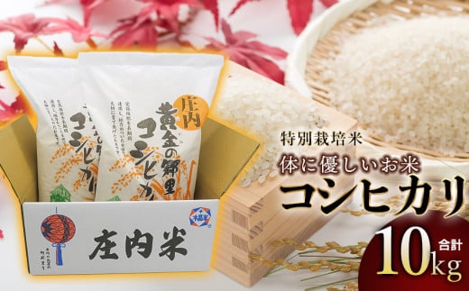 【令和6年産】特別栽培米 体に優しいお米・こしひかり10kg（5kg×2） 山形県庄内産　鶴岡米穀商業協同組合 970787 - 山形県鶴岡市