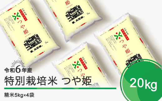 新米 令和7年6月下旬発送 つや姫 20kg 精米 令和6年産 ja-tssxb20-6s 624522 - 山形県大石田町