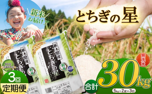 【3か月定期便】特A受賞！令和6年 新米 献上米にも選ばれたとちぎの星 無洗米 10kg | ふるさと 納税 栃木県産 とちぎの星 お米  精米 ミネラル 献上米 白米 無洗米 玄米 大粒 共通返礼品 送料無料 那珂川町 栃木県 1532835 - 栃木県那珂川町