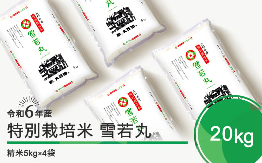 新米 令和7年2月下旬発送 雪若丸 20kg 精米 令和6年産 ja-yusxb20-2s 624552 - 山形県大石田町