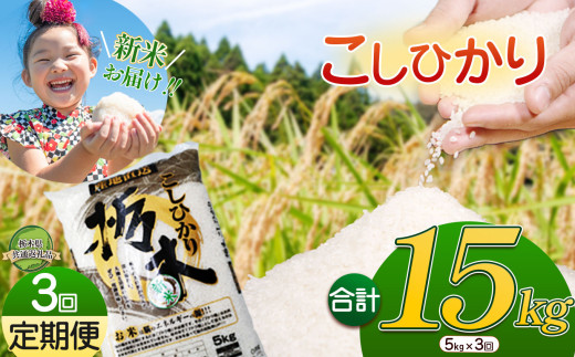 【3か月定期便】令和6年 新米 栃木県産 こしひかり 5kg | ふるさと 納税 お米 精米 白米 玄米 大粒 共通返礼品 送料無料 那珂川町 栃木県 1532882 - 栃木県那珂川町