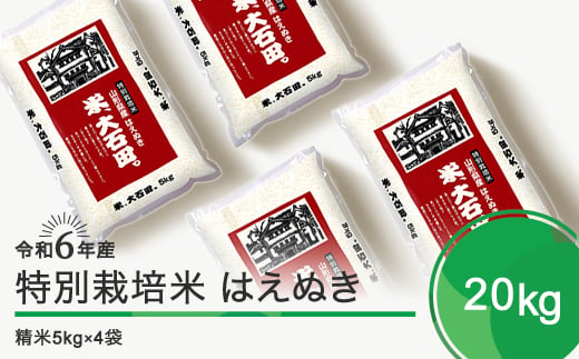 新米 令和7年1月下旬発送 はえぬき20㎏ 精米 令和6年産 ja-hasxb20-1s 416831 - 山形県大石田町