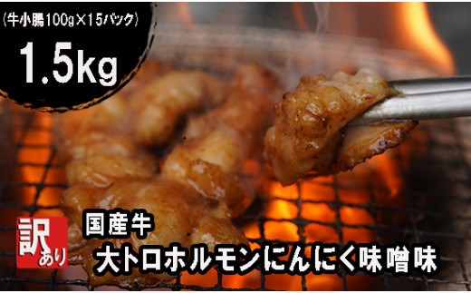 【 訳あり 】 国産牛 大トロホルモン にんにく味噌味 1.5kg （100gパック） 小分け ニンニク ガーリック 味噌味 ホルモン 焼き 焼肉 味付 小分け 冷凍 味噌だれ 不揃い 焼き肉 炒め物 国産 牛 肉 京都府 舞鶴市 幸福亭