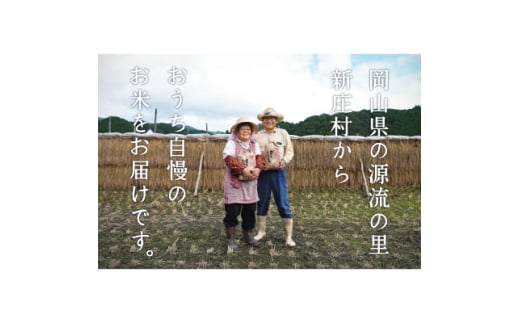 ＜新米＞令和6年産 村の一等米コシヒカリ(玄米5kg)【1489805】 1531564 - 岡山県新庄村