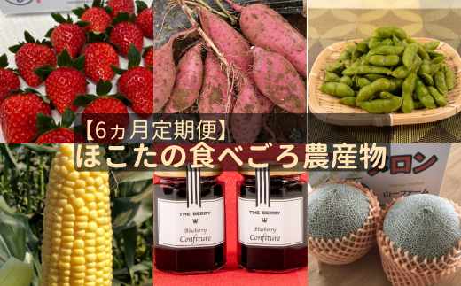 【6ヵ月定期便】ほこたの食べごろ農産物（さつまいも／いちご／とうもろこし／メロン／枝豆／ブルーベリージャム）