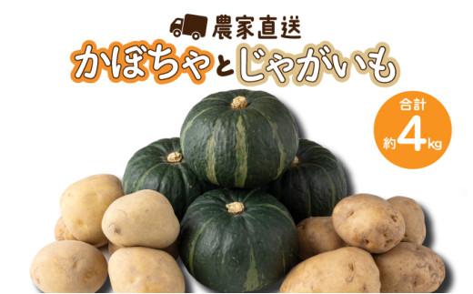 遠別産　坊ちゃん栗かぼちゃ約2kg・じゃがいも(とうや約1kg・男爵約1kg)セット　計約4kg 1465045 - 北海道遠別町