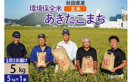 【玄米】令和6年産 秋田県産 あきたこまち 環境保全米 5kg (5kg×1袋)  429608 - 秋田県八郎潟町