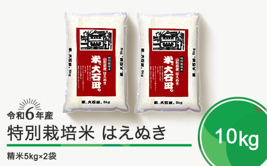 新米 令和6年産 米 はえぬき 10kg 大石田町産 特別栽培米 精米