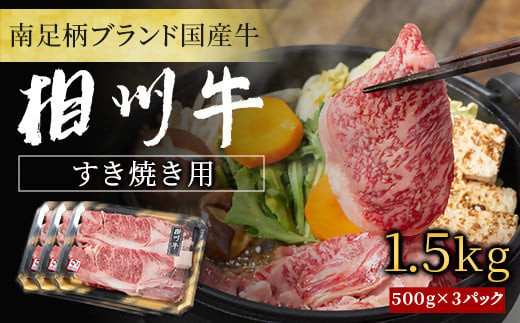 【国産希少牛】 相州牛（すき焼き用） 1.5kg 南足柄ブランド 国産牛 肉 1.5キロ ふるさと納税【すき焼き 牛肉 お肉 ブランド牛 神奈川県 南足柄市 】 1010359 - 神奈川県南足柄市