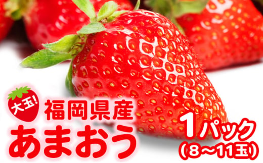 いちご 大玉！ 福岡県産 あまおう (1パック 8玉又は11玉入り) イチゴ 果物 ※配送不可：離島 1522181 - 福岡県小郡市