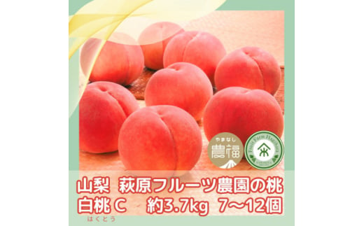 ＜2025年先行受付＞山梨 萩原フルーツ農園の桃　白桃C (約3.7kg 7～12個入)【1477612】 1194724 - 山梨県山梨市