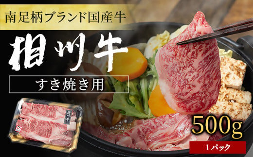 【国産希少牛】 相州牛（すき焼き用） 500g 南足柄ブランド 国産牛 肉 ふるさと納税【すき焼き 牛肉 お肉 ブランド牛 神奈川県 南足柄市 】 1010357 - 神奈川県南足柄市