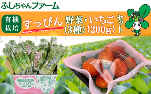 【2025年1月中旬発送開始】すっぴん有機やさい・いちごセットA【 茨城県 つくば市 いちご 苺 イチゴ 恋みのり 小松菜 ロメインレタス 水菜 鍋 鍋もの 野菜 ベジタブル 有機野菜 有機栽培 無農薬 有機農業 オーガニック 自然 果実 フルーツ 果物 希少 】 1539637 - 茨城県つくば市