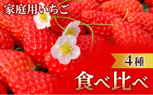 家庭用 いちご 4種 食べ比べ パック (1パック 6～15玉入り×4パック) イチゴ 果物 ご家庭用 ※配送不可：離島 1522179 - 福岡県小郡市