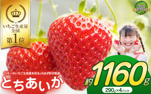 大人気！日本一のいちご生産量を誇るJAはが野が厳選 最旬 とちあいか 290g×4P | いちご とちおとめ 甘い 美味しい 果物 共通返礼品 フルーツ デザート 栃木県 那珂川町 送料無料 1532887 - 栃木県那珂川町