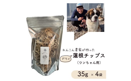 レンコン 農家が作った ワンちゃん用 ドライ 蓮根チップス 35g × 4袋 犬用 ドックフード れんこんチップス レンコンチップス 犬用おやつ  1214273 - 茨城県鉾田市