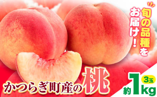 桃 かつらぎ町産 約 1kg 紀農人株式会社《2025年6月上旬-8月中旬頃出荷》 和歌山県 日高町 果物 フルーツ 桃 もも モモ 旬