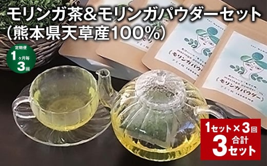 【1ヶ月毎3回定期便】モリンガ茶＆モリンガパウダーセット（熊本県天草産100%） 計3セット（1セット✕3回） ティーバッグ パウダー お茶 茶葉