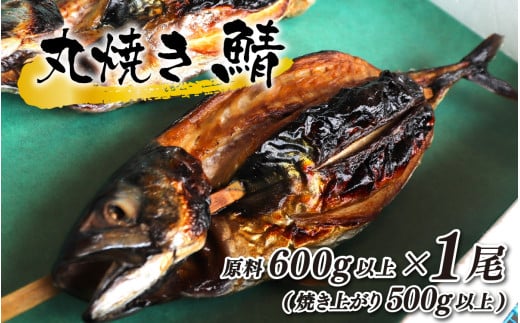 丸焼き鯖 原料600g以上(焼き上がり500g以上)×1本 1441805 - 福井県小浜市