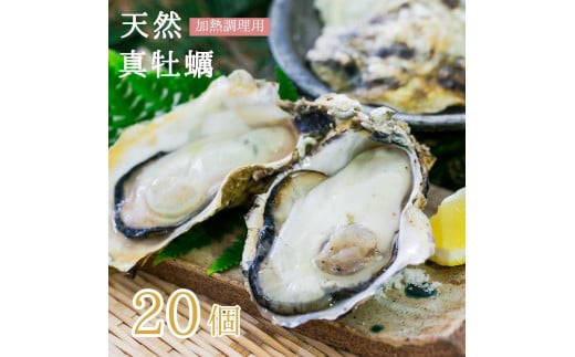 活 天然 牡蠣 20個入 （加熱調理用） カキ 牡蛎 かき オイスター 京都産 舞鶴産 真牡蠣 殻付き牡蠣 オイスター 貝 海鮮 二枚貝 オイスター 京都 舞鶴 かき小屋 美味星