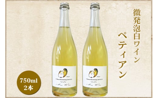 微発泡白ワイン Chardonnay2023 ペティアン 750ml (2本セット)｜ワイン スパークリング シャルドネ 無添加 無濾過 国産 日本ワイン 愛知県 東浦町 [0702] 1521457 - 愛知県東浦町