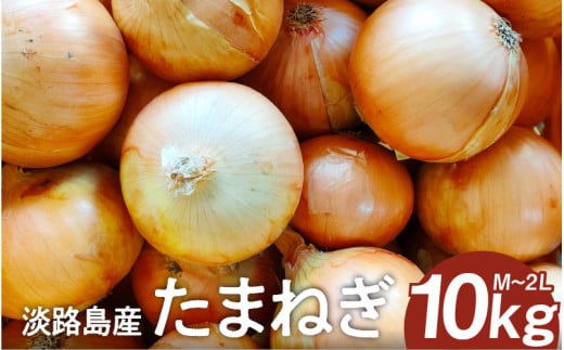 淡路島産たまねぎ 10kg入り箱【2月下旬までの期間限定商品】 / 玉ねぎ 玉葱 タマネギ 1522599 - 兵庫県兵庫県庁