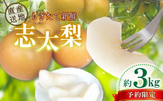 【先行予約：2025年8月以降出荷】 梨 3kg 志太梨 静岡県産 果物 フルーツ 産地 直送 家庭用 なし 藤枝産梨 甘い梨 貴重種梨 限定梨 旬の梨 静岡県 藤枝市