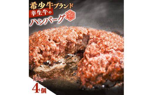 【年内配送（12月15日までのご入金）】幸せを運ぶ牛《幸生牛》希少牛 ハンバーグ 150g×4個 008-D-YL056 1285643 - 山形県寒河江市