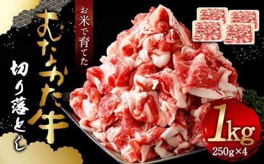 お米で育てた むなかた牛 切り落とし 計1kg(250g×4パック) 小分け 牧場直送【すすき牧場】_HA0854 290418 - 福岡県宗像市