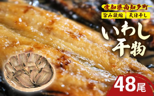 訳あり いわし 干物 48尾 (16尾×3パック) 冷凍 国産 小分け 開き 便利 パック ご飯 イワシ ごはん 魚 さかな いわし 簡単 調理 干物 真イワシ ご飯のお供 つまみ 干物 酒の肴 鰯 晩酌 おかず マイワシ いわし 干物 海鮮 新鮮 魚介 いわし 海産 ヤマカ水産 愛知県 南知多町 人気 おすすめ 1524447 - 愛知県南知多町