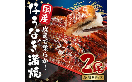 国内産やわらか新仔うなぎ蒲焼2尾　合計200～220g(食べ切りサイズ)【1329497】 417698 - 茨城県潮来市