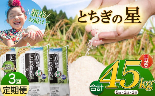 【3か月定期便】特A受賞！令和6年 新米 献上米にも選ばれたとちぎの星 無洗米 15kg | ふるさと 納税 栃木県産 とちぎの星 お米  精米 ミネラル 献上米 白米 無洗米 玄米 大粒 共通返礼品 送料無料 那珂川町 栃木県 1532833 - 栃木県那珂川町