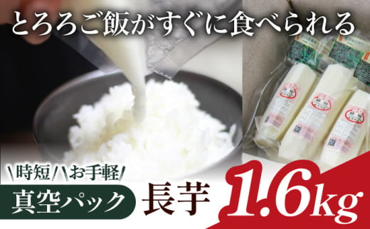 食べたいときにすぐ使える！ 真空パック 長芋 1.6kg 【ながいも一筋 マル庄】 ／ とろろ 山かけ カット 時短 689287 - 岩手県滝沢市