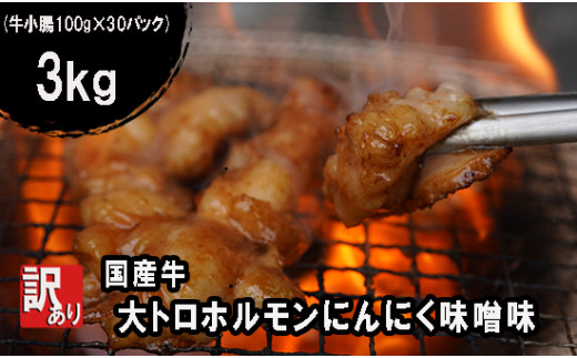 【 訳あり 】 国産牛 大トロホルモン にんにく味噌味 3kg （100gパック） 小分け ニンニク ガーリック 味噌味 ホルモン 焼き 焼肉 味付 小分け 冷凍 味噌だれ 不揃い 焼き肉 炒め物 国産 牛 肉 京都府 舞鶴市 幸福亭