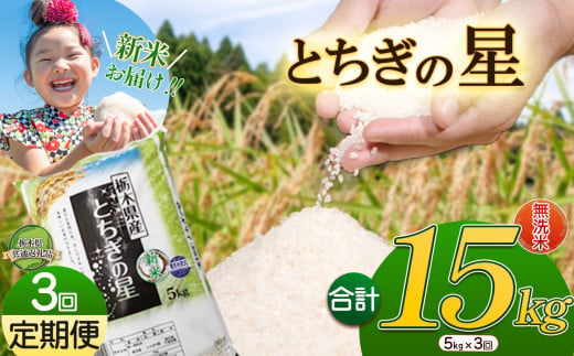 【3か月定期便】特A受賞！令和6年 新米 献上米にも選ばれたとちぎの星 無洗米 5kg | ふるさと 納税 栃木県産 とちぎの星 お米  精米 ミネラル 献上米 白米 無洗米 玄米 大粒 共通返礼品 送料無料 那珂川町 栃木県 1532837 - 栃木県那珂川町