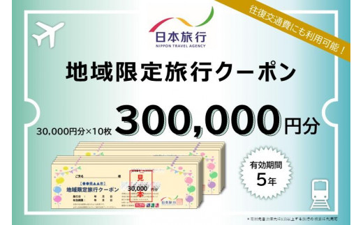 福岡県福岡市 日本旅行 地域限定旅行クーポン300,000円分 1437237 - 福岡県福岡市