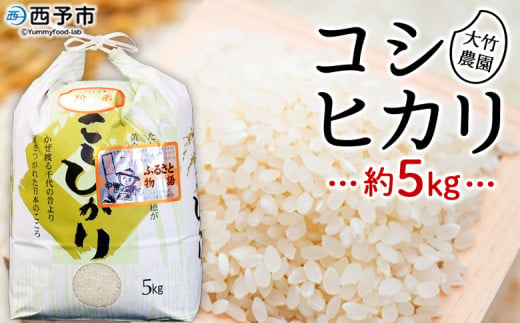 令和6年産　大竹農園　「コシヒカリ」５kg 650241 - 愛媛県西予市