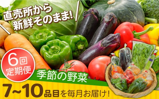 【6回定期便】直売所より発送！季節の野菜セット 7～10品目 / 野菜定期便 やさい定期便 野菜 やさい 旬 詰め合わせ / 南島原市 / ながさき南部生産組合 [SBW004] 462546 - 長崎県南島原市