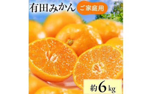 [先行予約][数量限定]濃厚有田みかん(ご家庭用) 約6kg+300g(保証分) ※2024年12月上旬〜12月下旬頃発送 ※北海道・沖縄・離島への配送不可